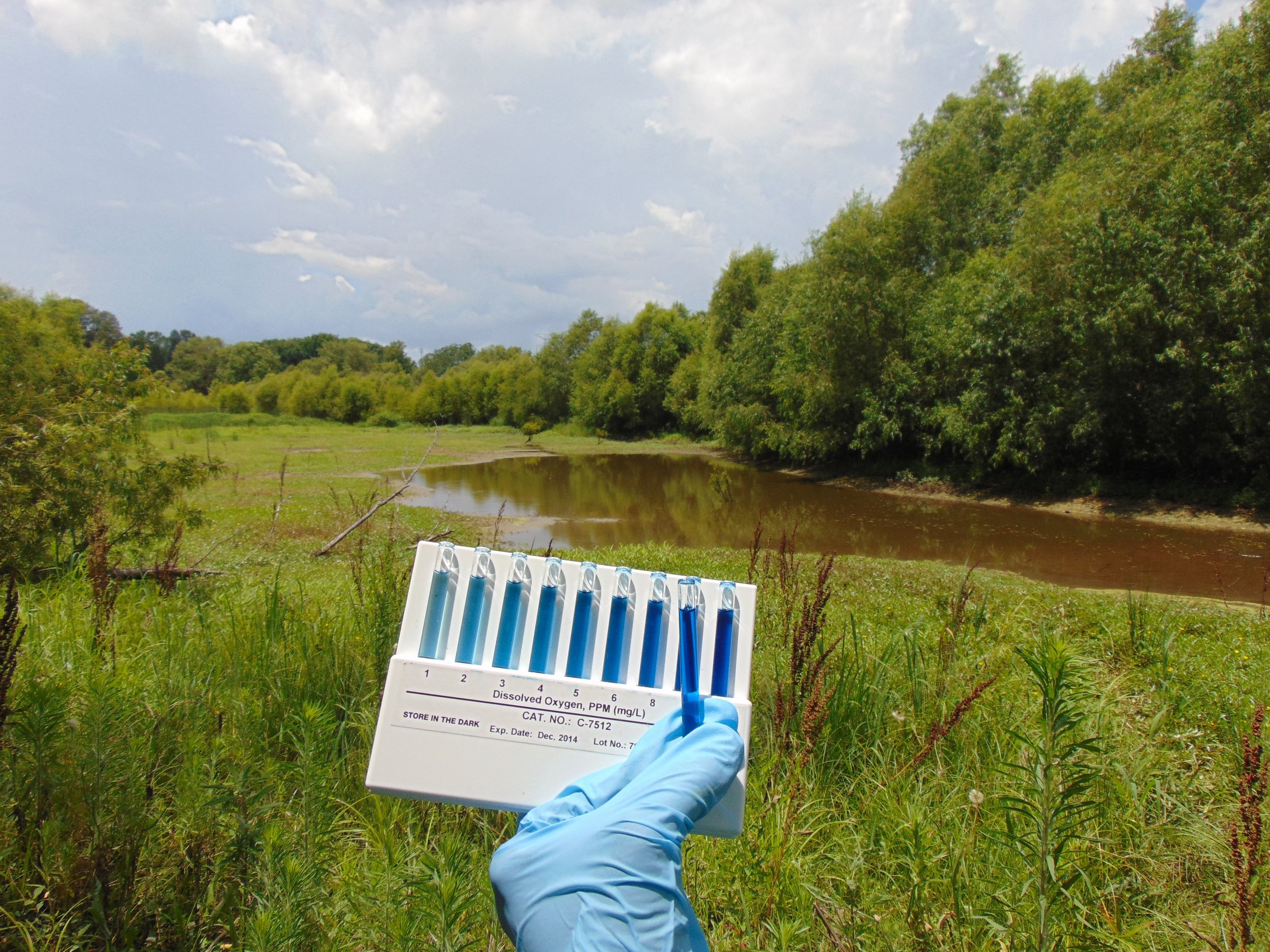 2017 Week 2: Urban wetland assessment