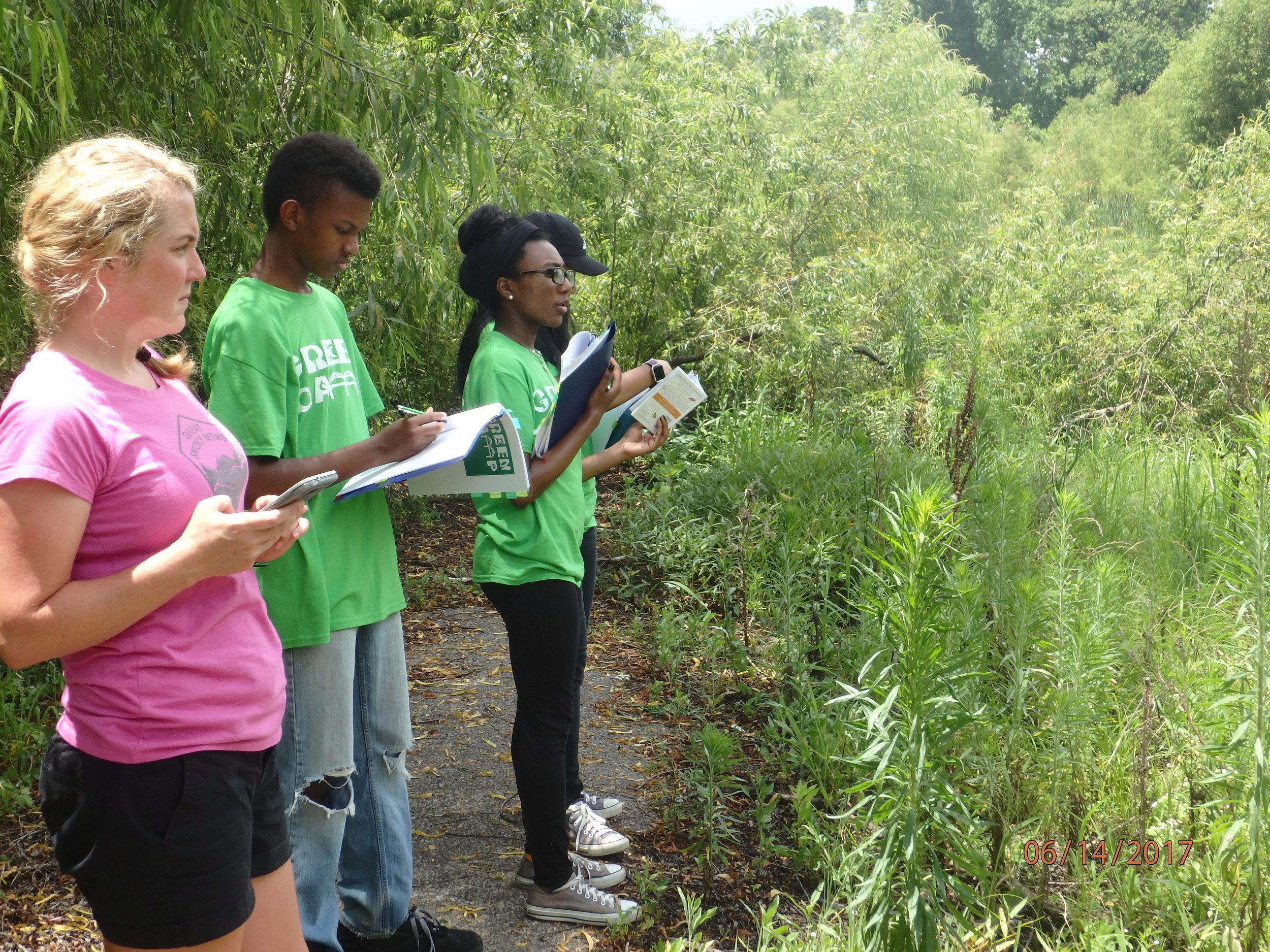 2017 Week 2: Urban wetland assessment