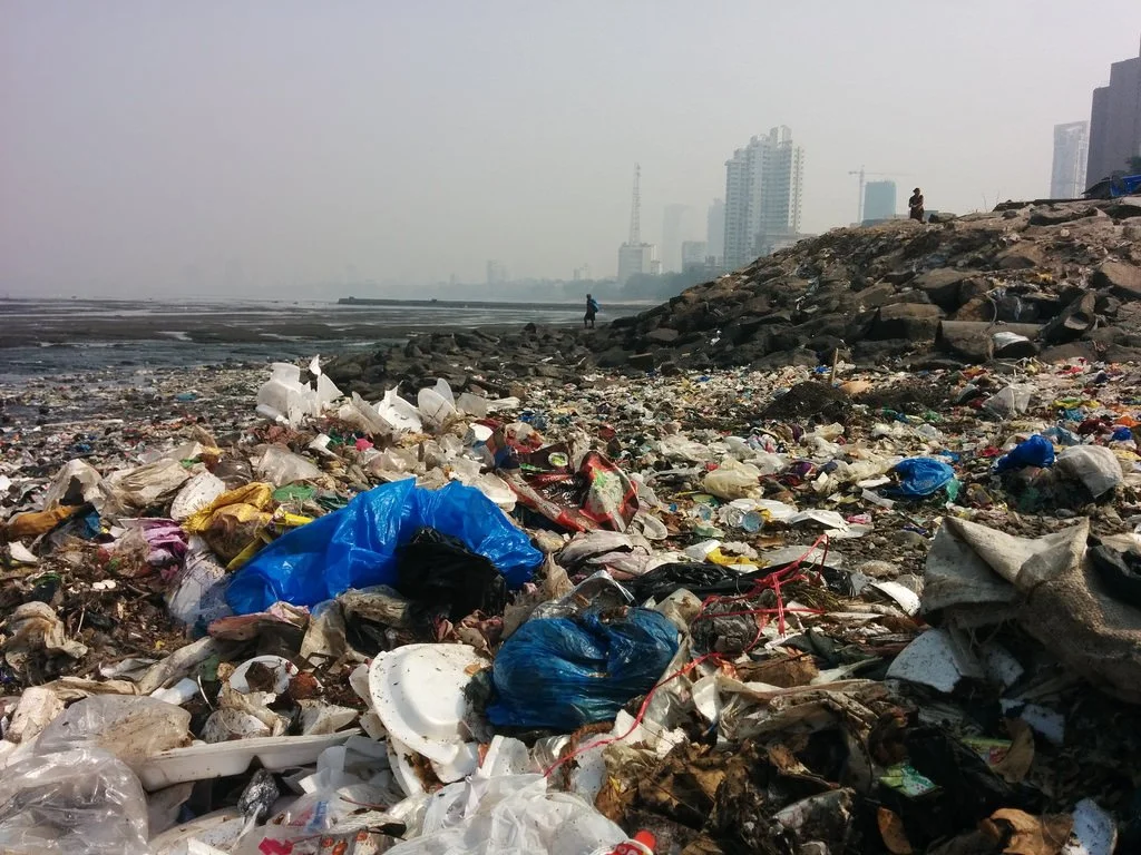Improper disposal of plastics is a problem worldwide and single-use plastics are an issue because they don't decompose in the same way paper does. Make a commitment to be wiser in your use and disposal of plastics today!