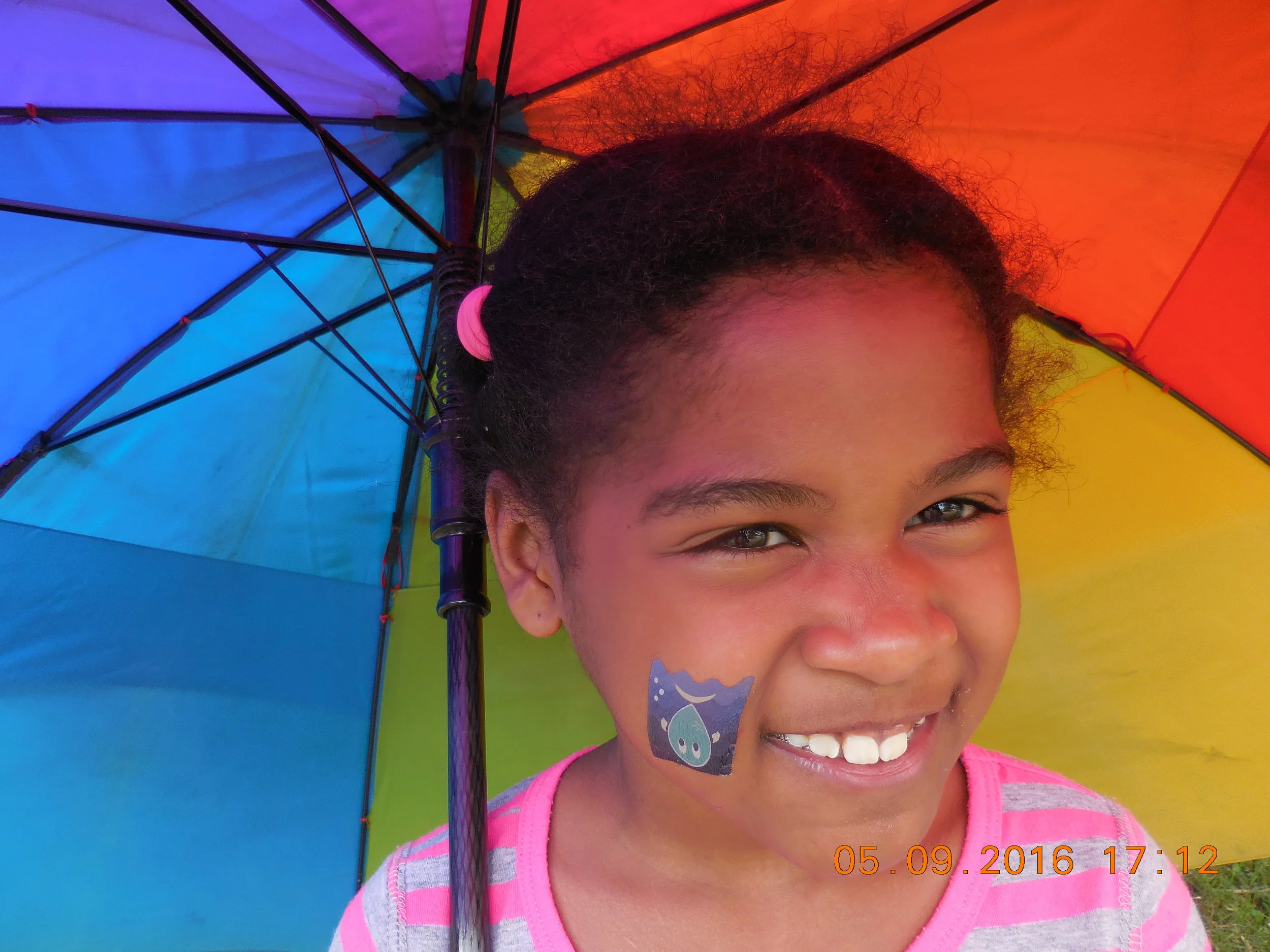 McFarland Park Spring Green Festival!