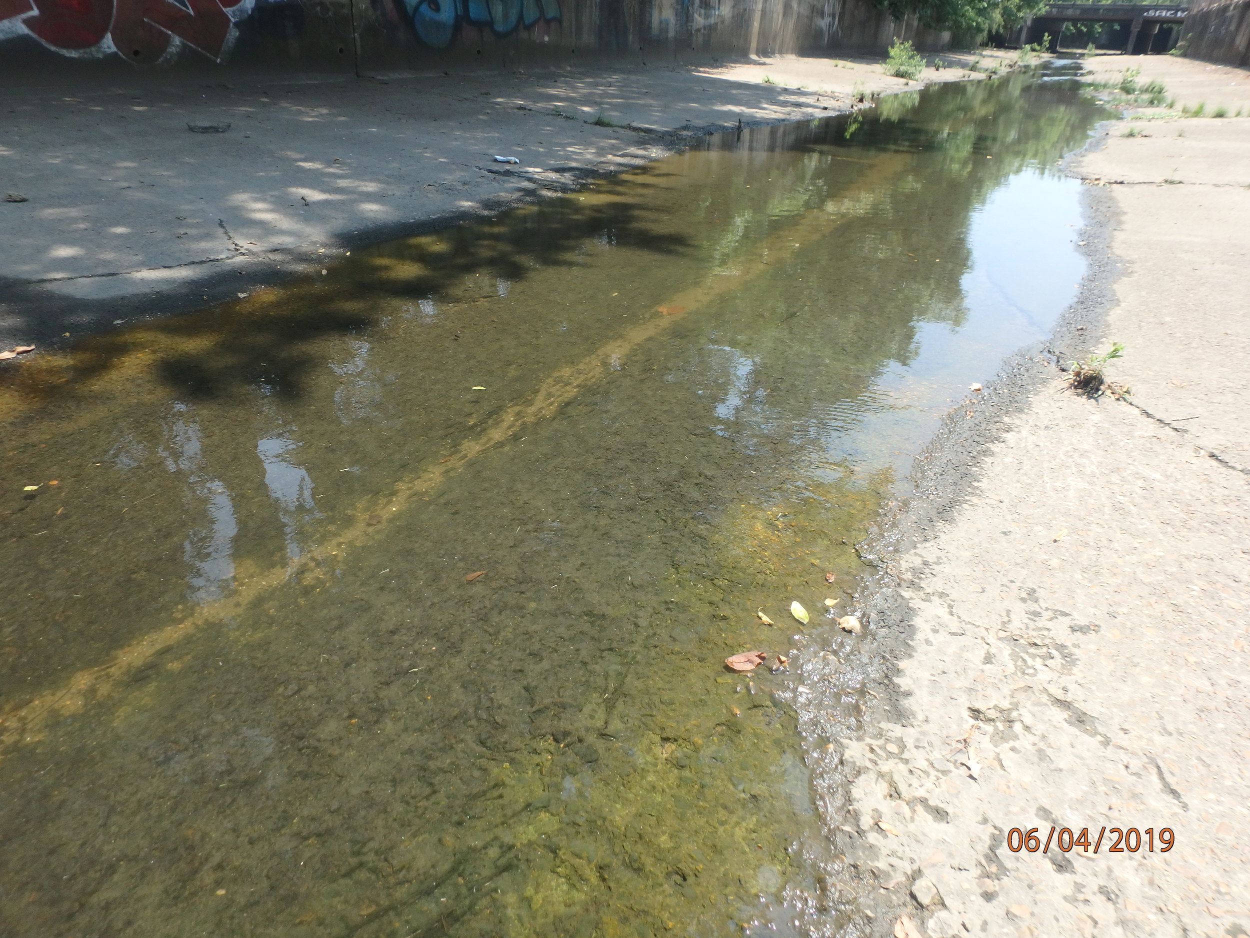 Day 2: Cypress Creek, Urban Channelized Waterbody Assessment