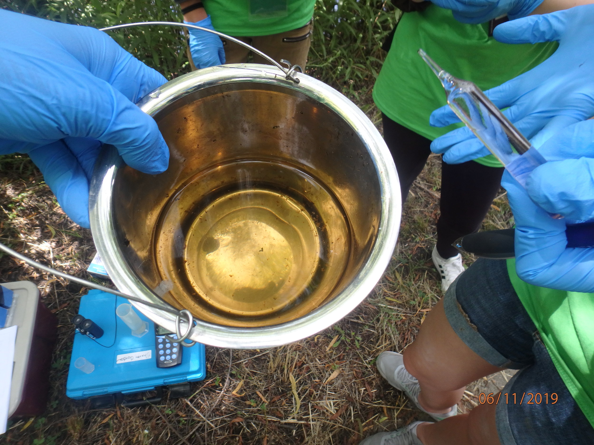 Day 2: T.O. Fuller State Park, Urban Man-Made Wetland Assessment