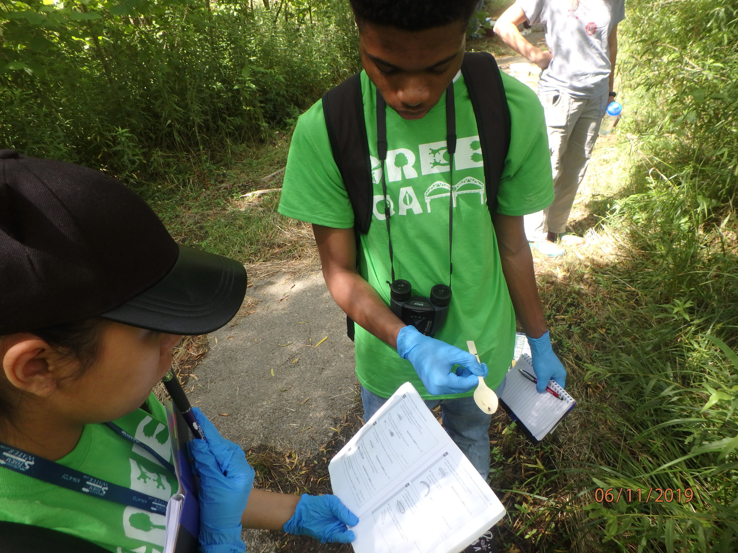 Day 2: T.O. Fuller State Park, Urban Man-Made Wetland Assessment