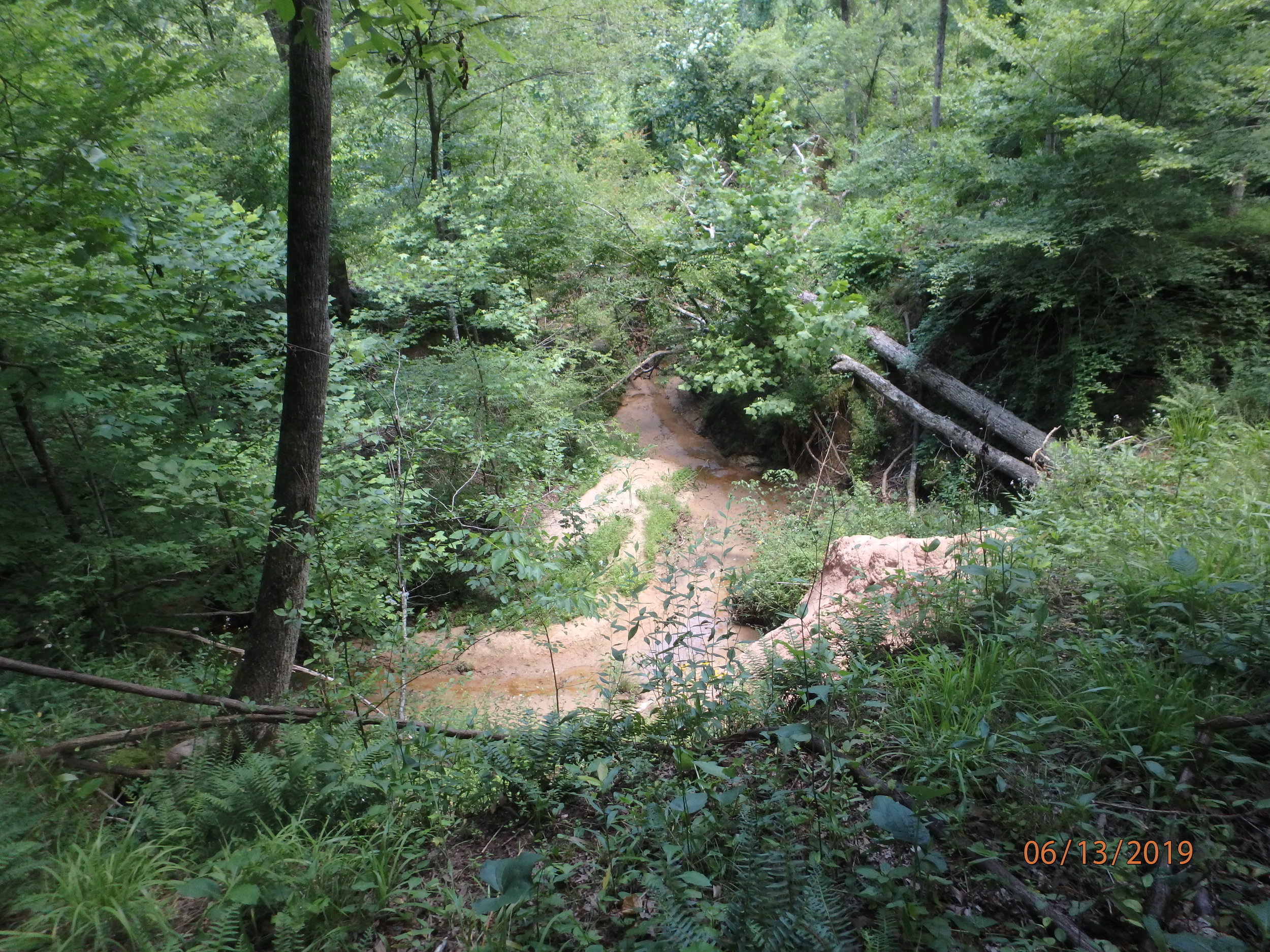 Day 4: Pinecrest Camp, Layers of the Aquifer