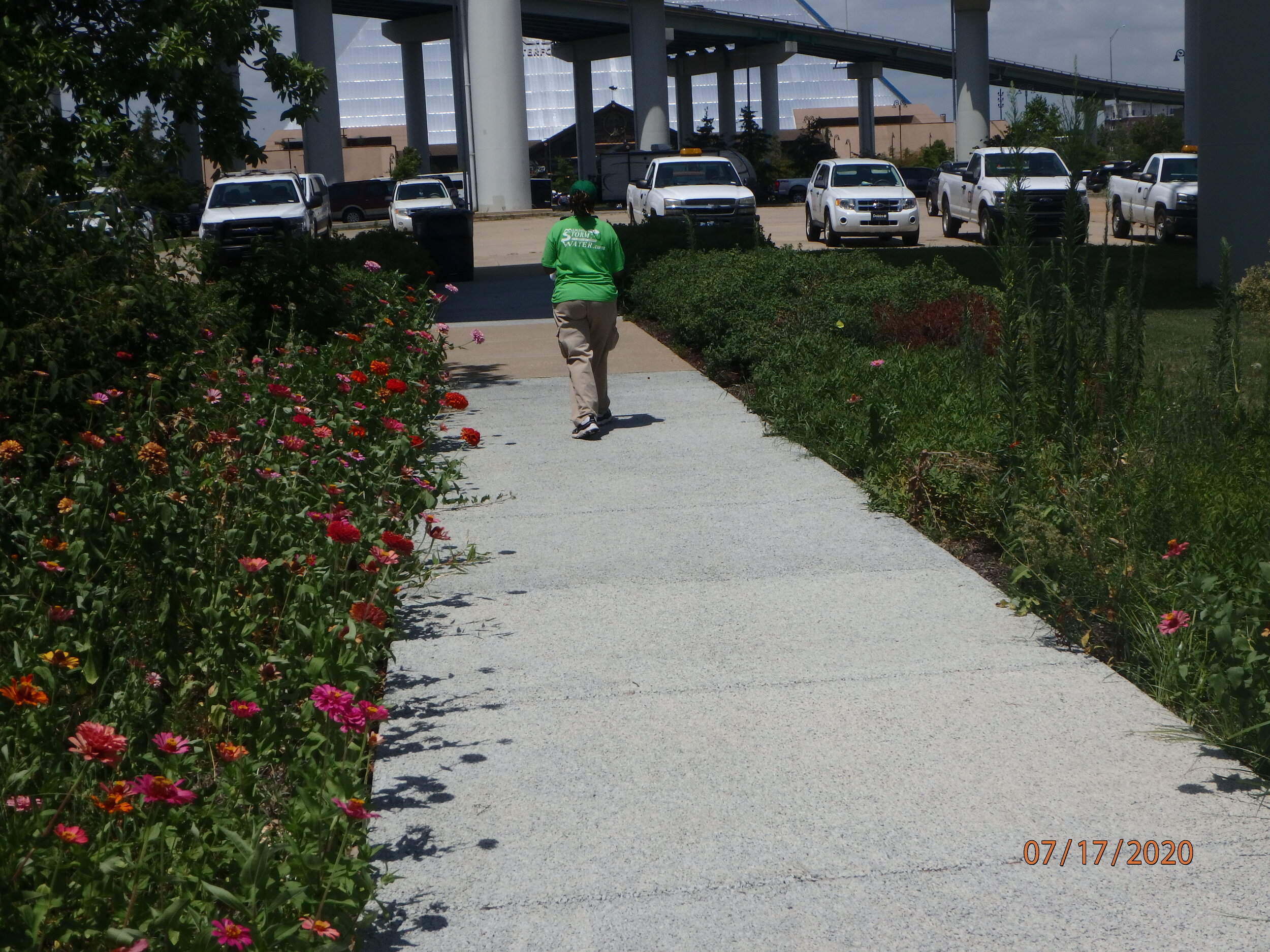 Day 5: Sustainability-Green Infrastructure