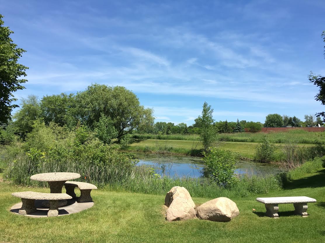 This peaceful area is located outside my office. I sometimes spend my short breaks between client sessions enjoying nature in this spot. 