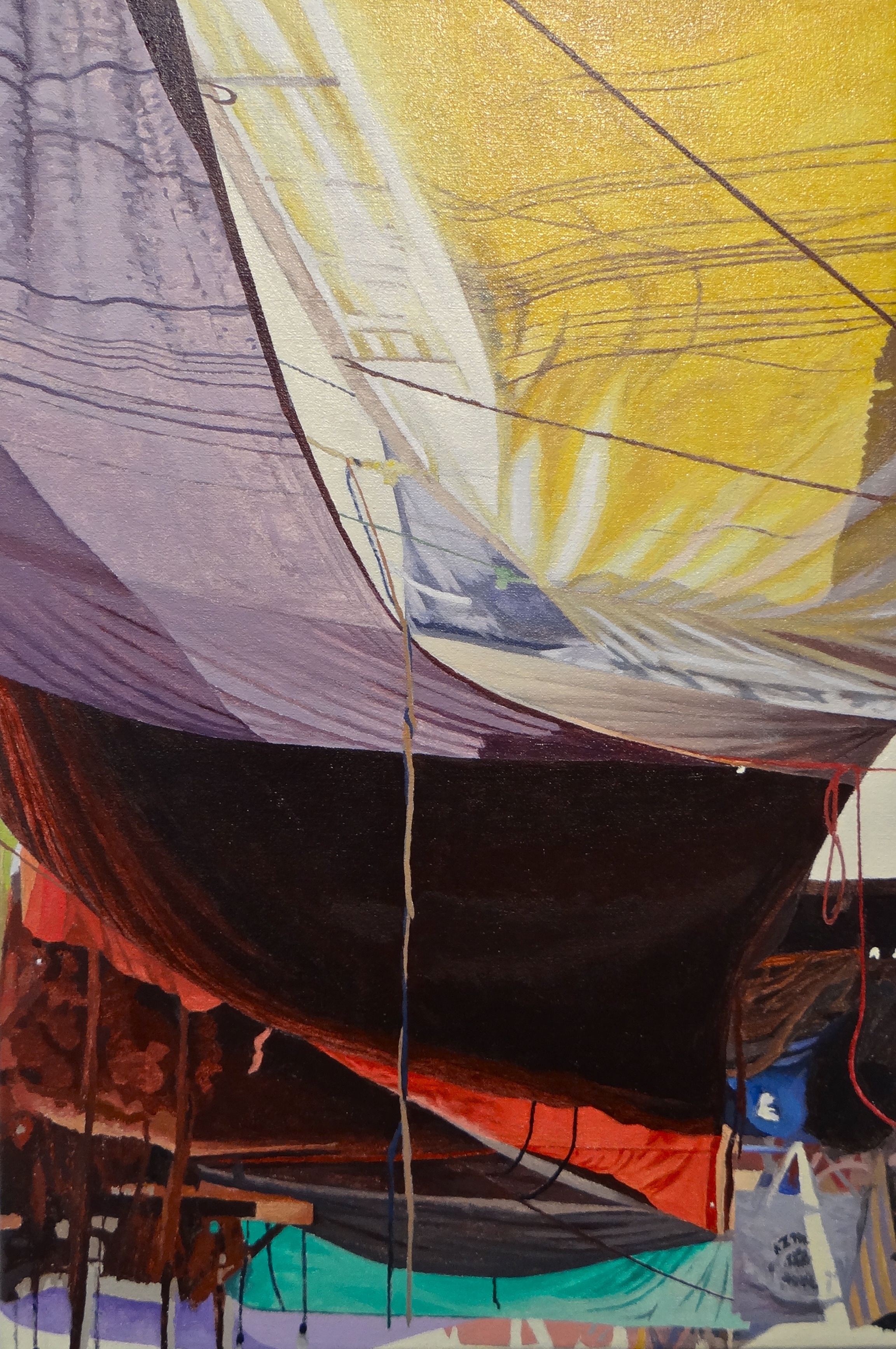  "Safflower," 2013, 18x12", Oil 