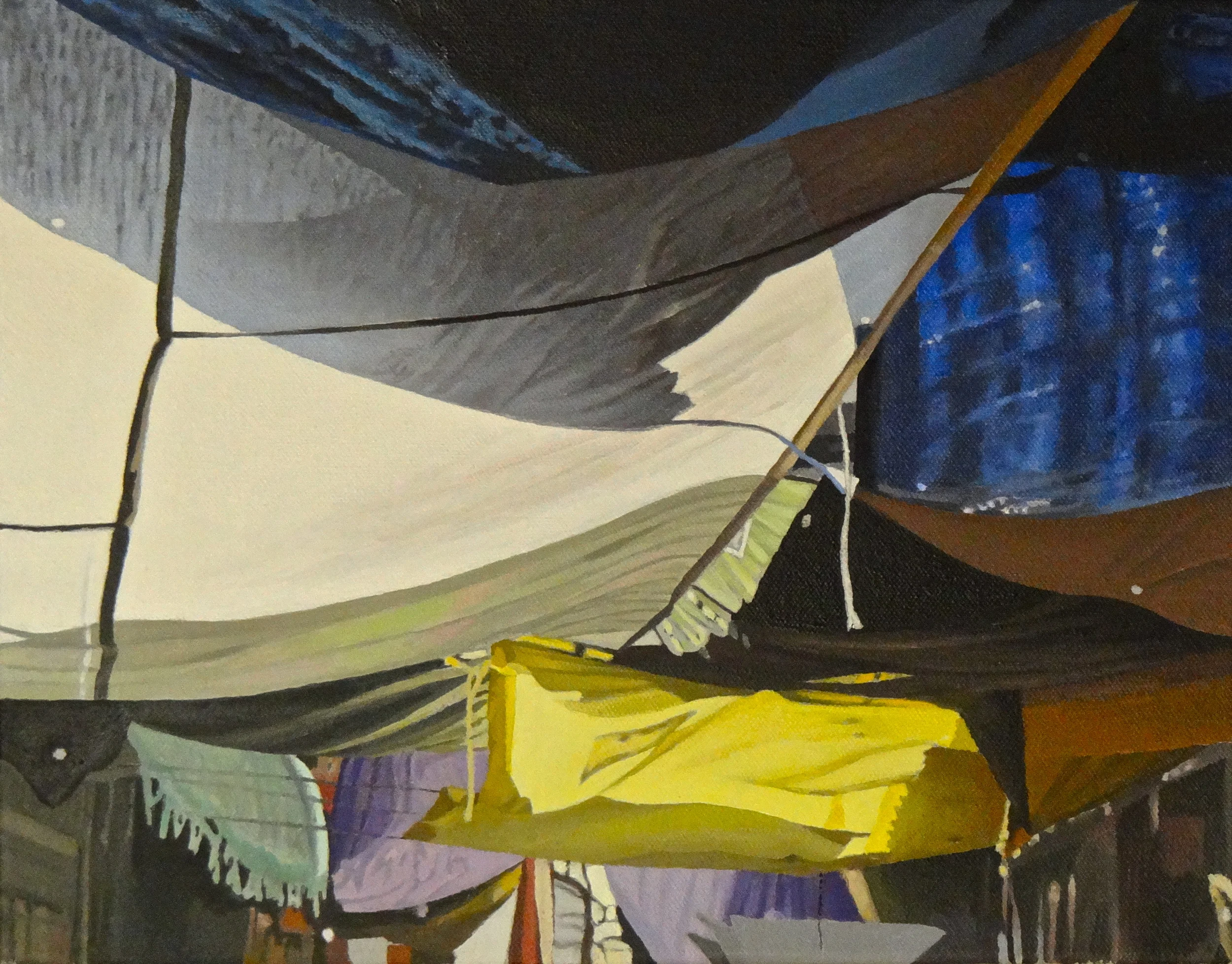  "Canary," 11x14", Oil 