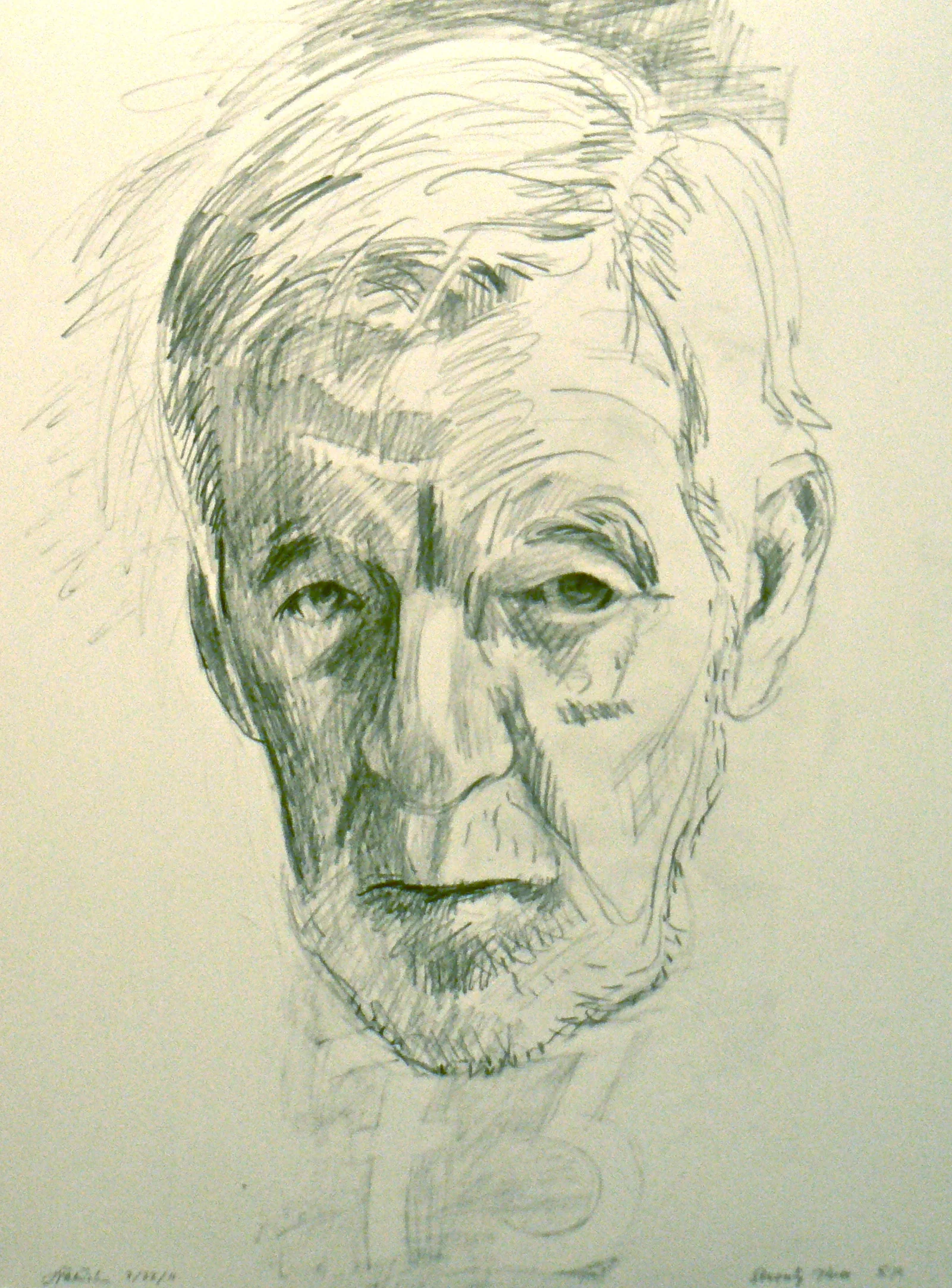 P1120455.jpg
