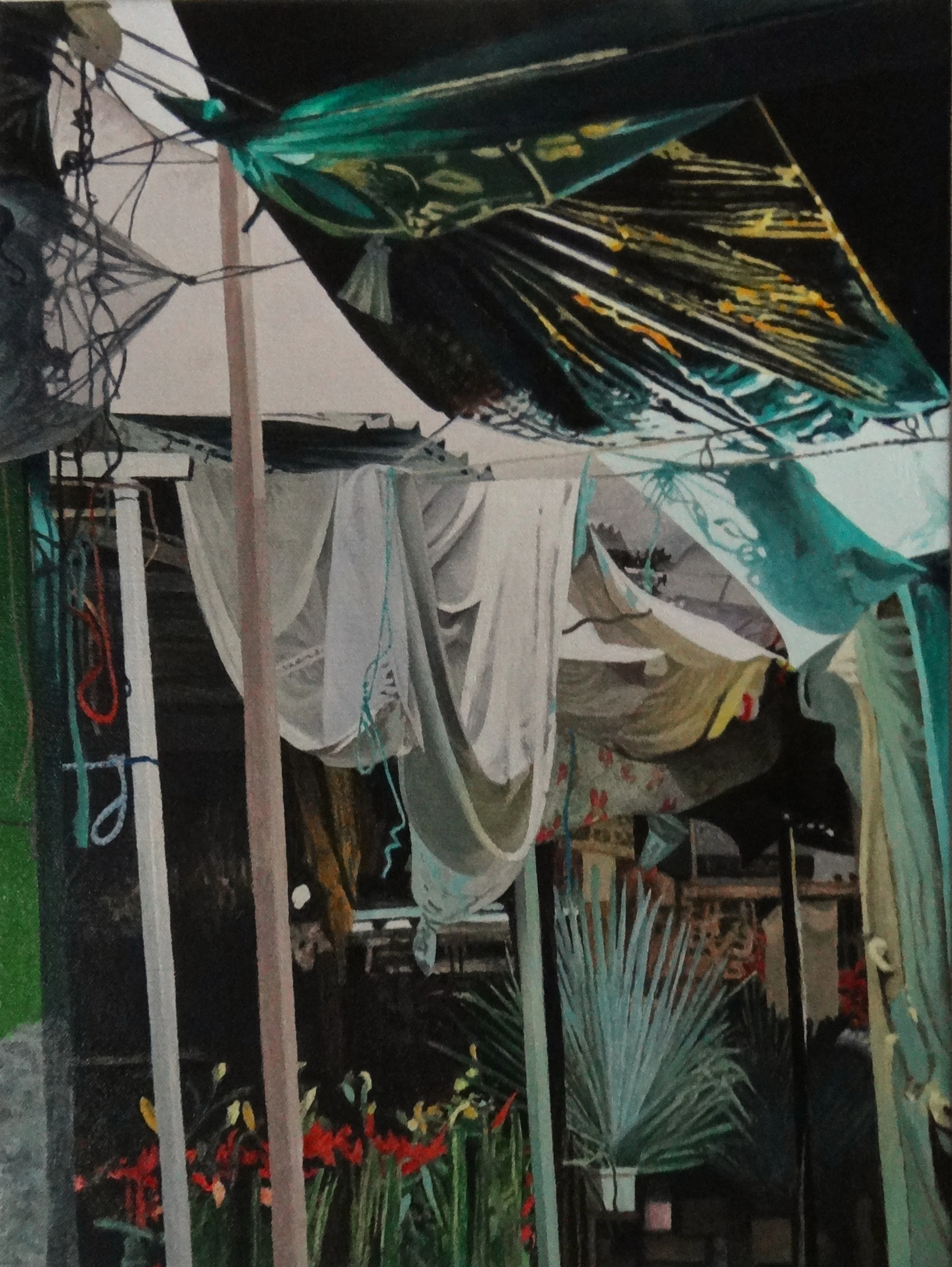  "Abloom," &nbsp;16 X 12", Oil 