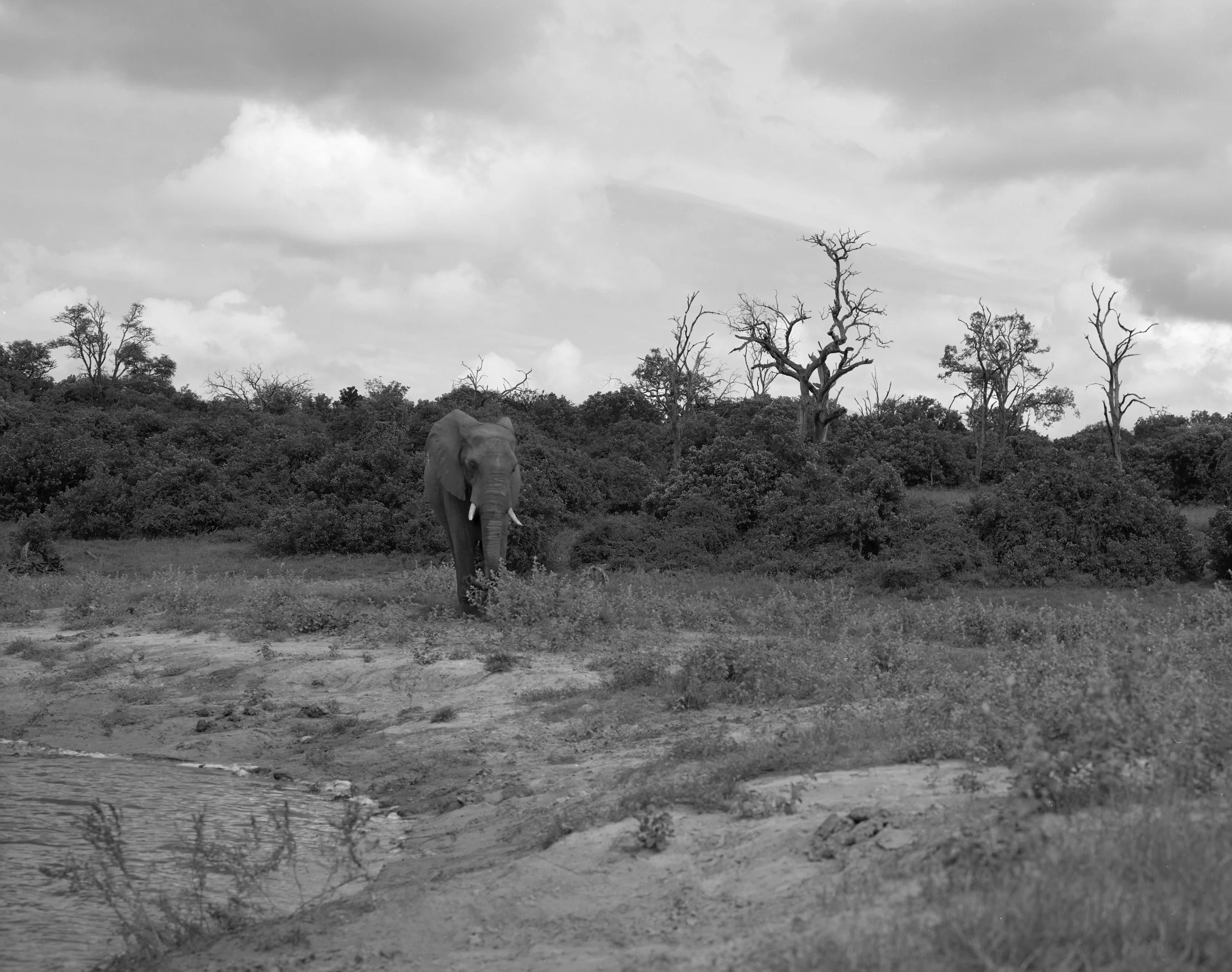 Africa4x5002.jpg