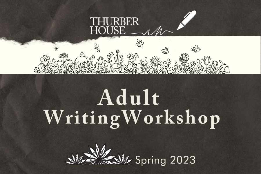 Novel Writing Workshop (Hybrid)