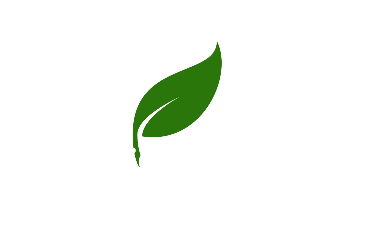 Bosque Vivo