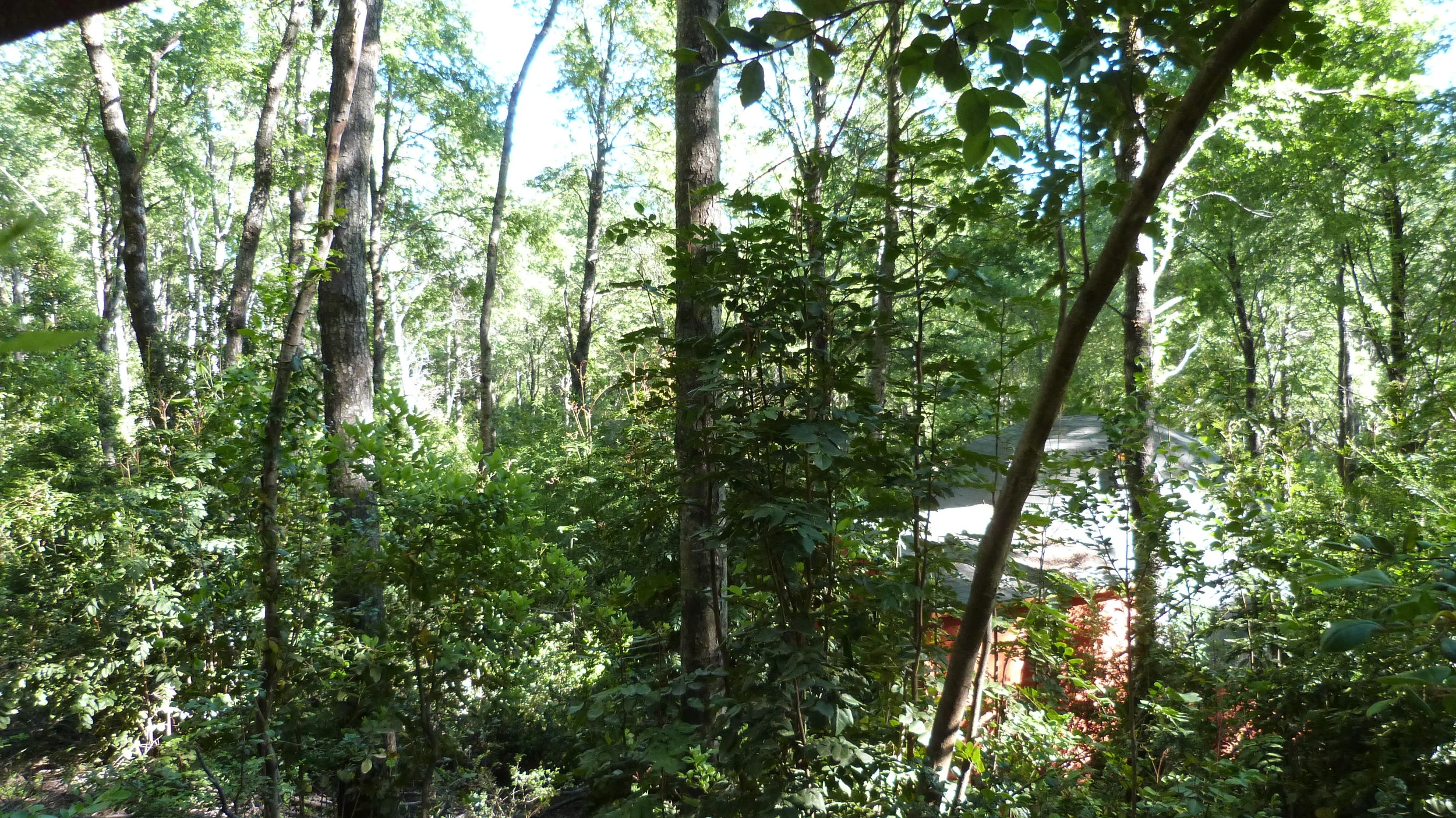 P1070080.jpg
