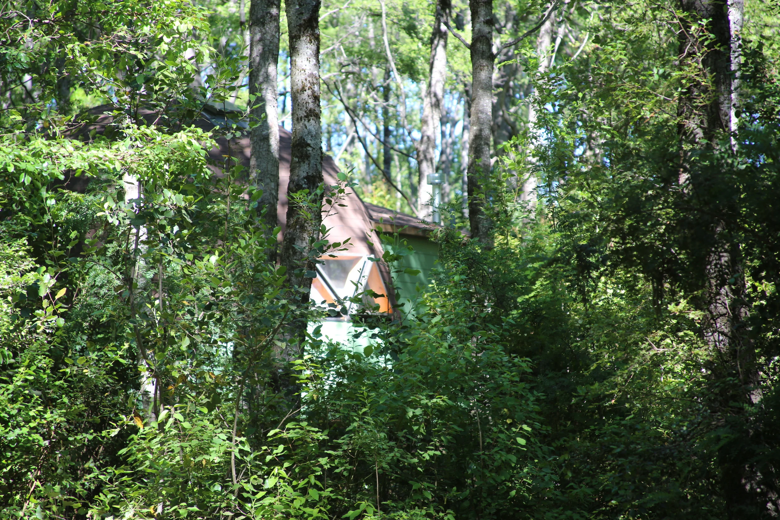 PA5A6462.jpg