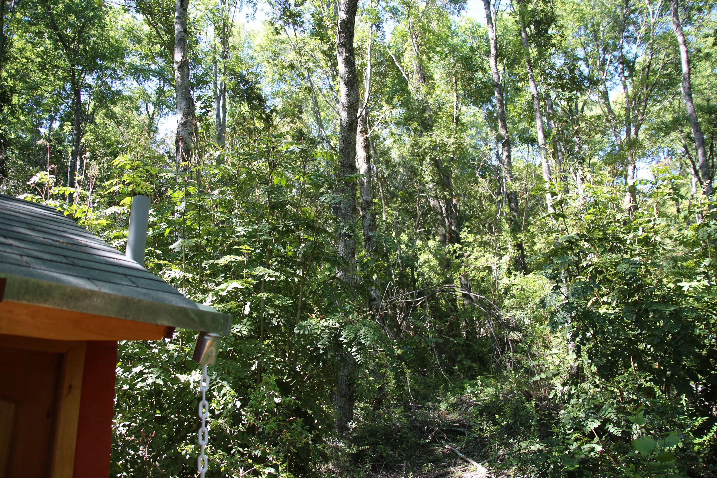 PA5A6493.jpg