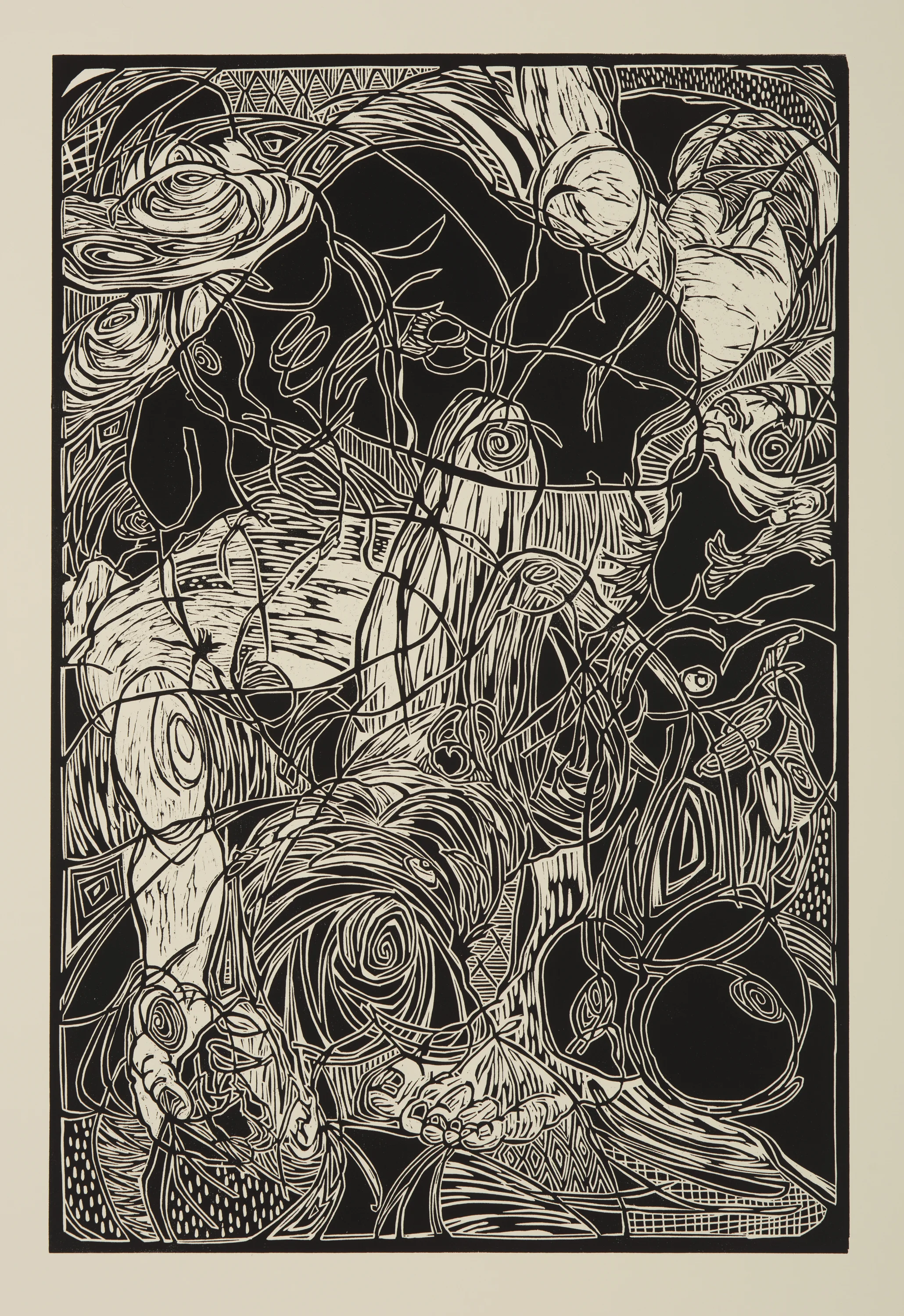 Echo