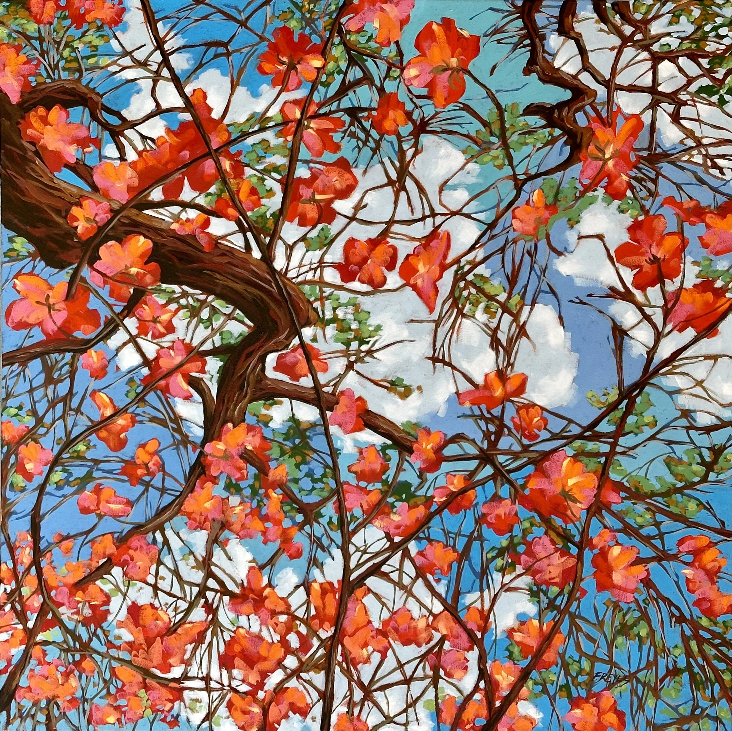 Dogwood