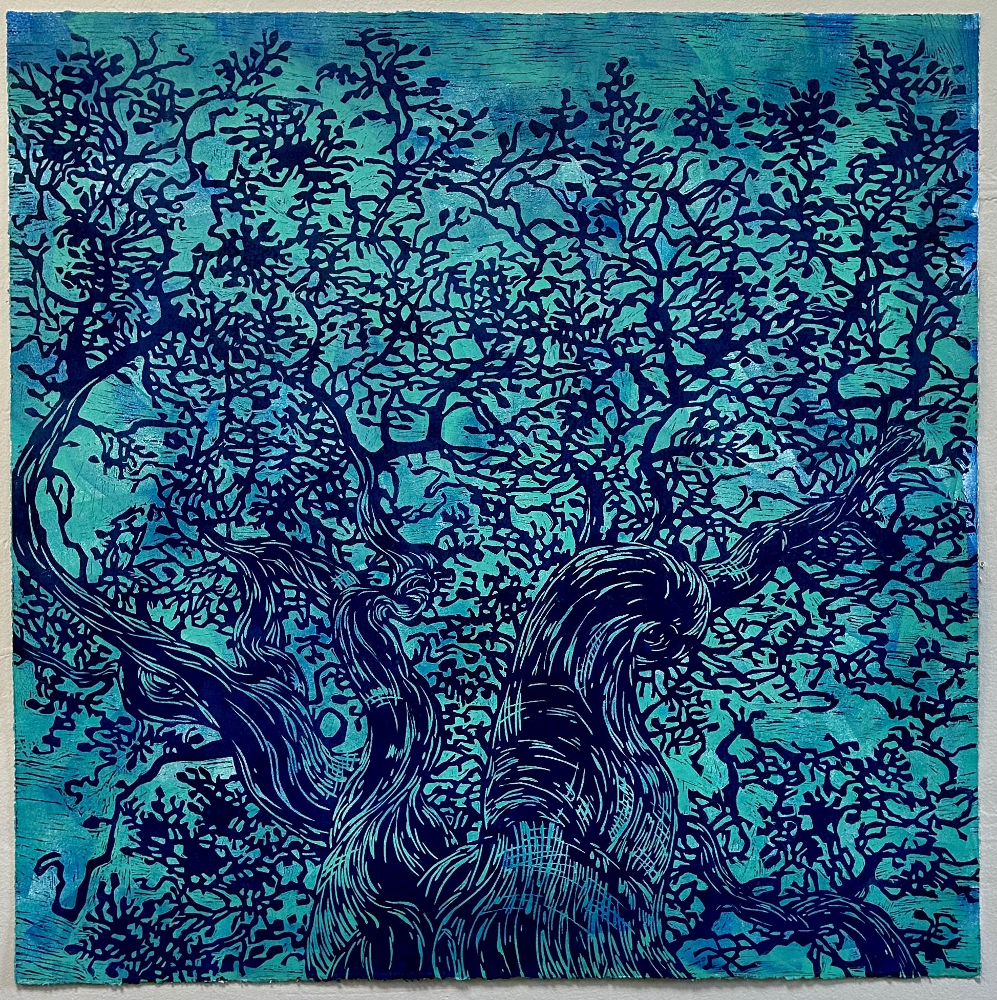 Manzanita Magnificent Blue