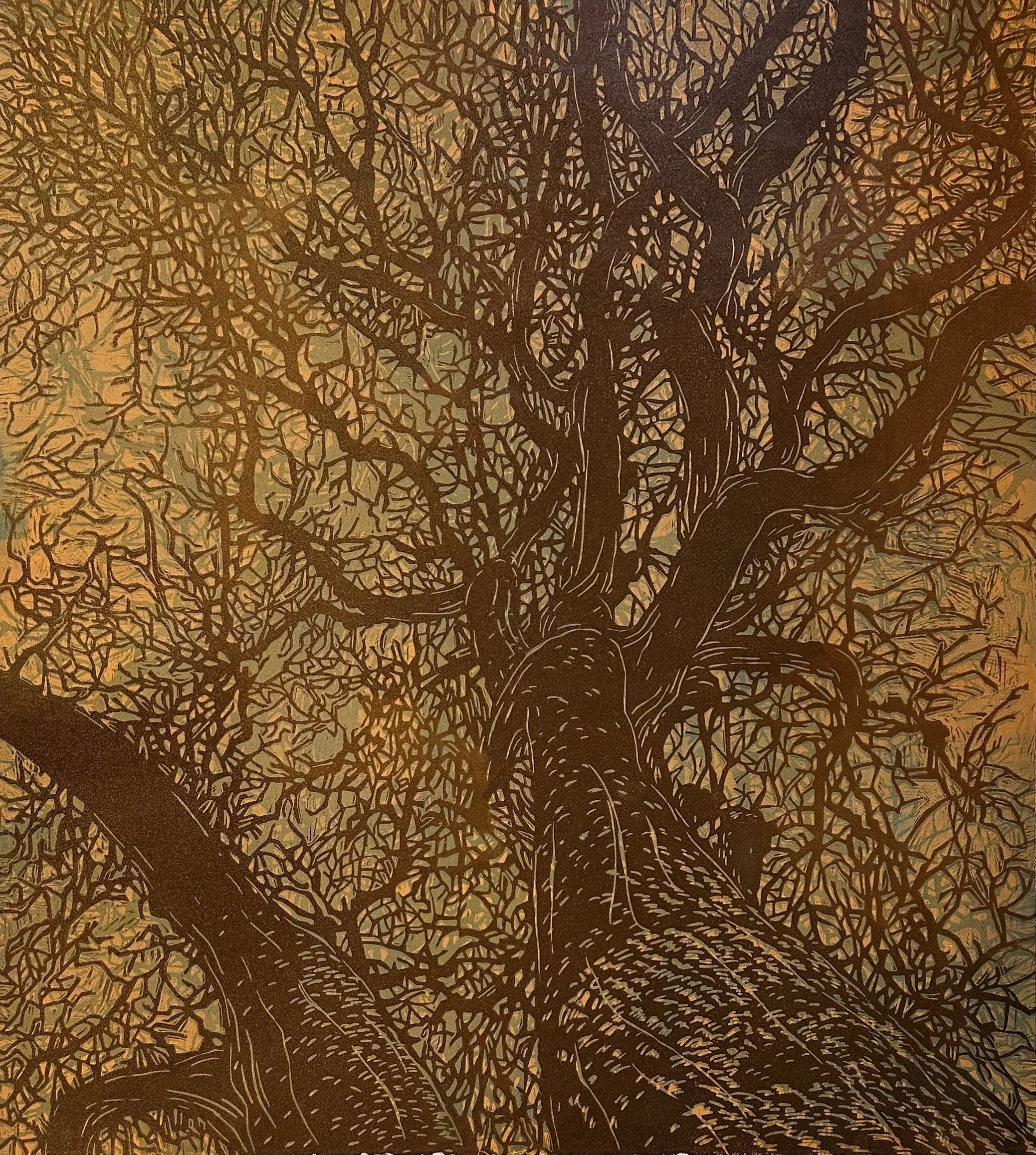 Winter Oak Romantic Dusk