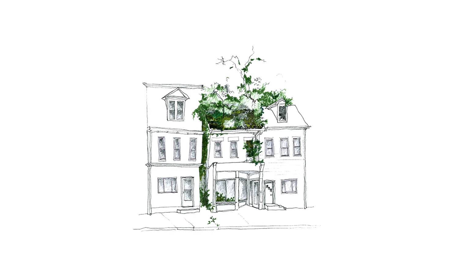 vegetation demolishes the buildings