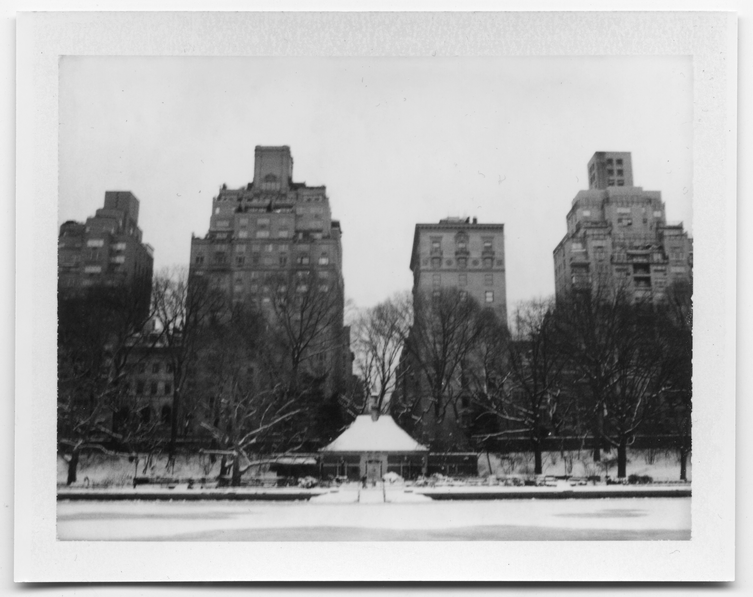 Polaroid Land 250. Fujifilm FP-3000b. January 2015