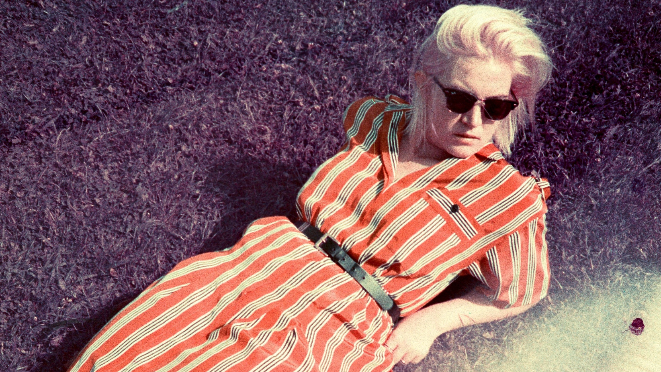 Lomography Magazine: Purple Places with Nick Collingwood