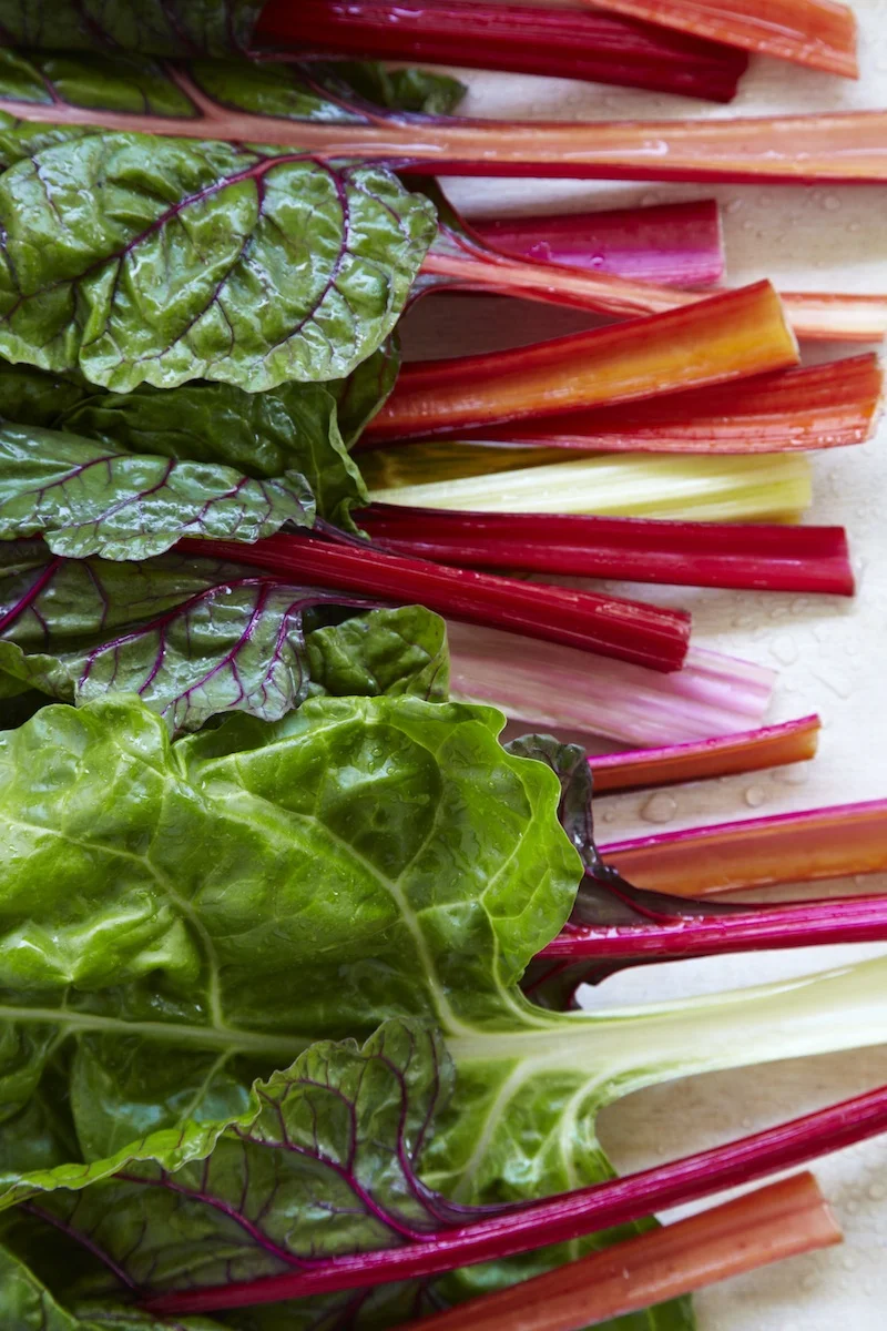 28-TestShoot_Liz_ 7054.jpeg