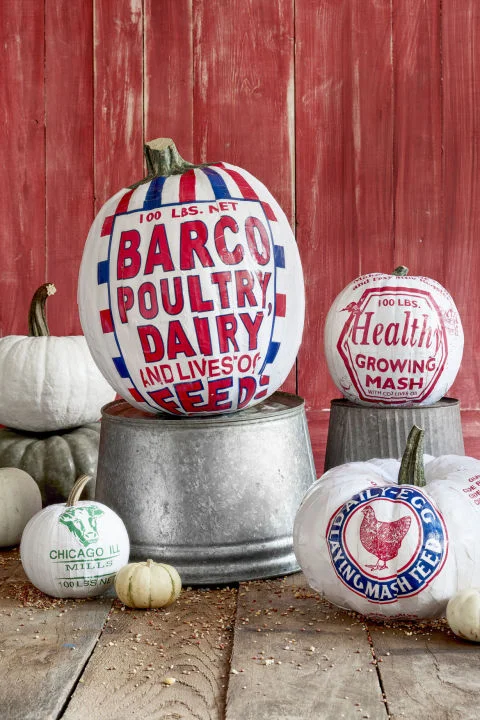 gallery-1472486056-pumpkins-grain-sacks-1016.jpg