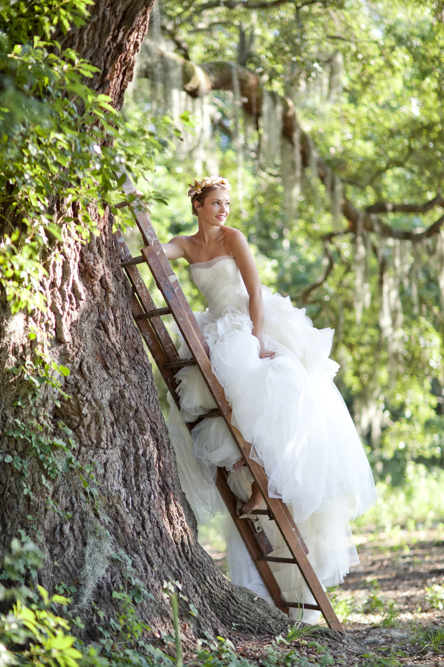 mccully_120617_fairy_0186.jpg