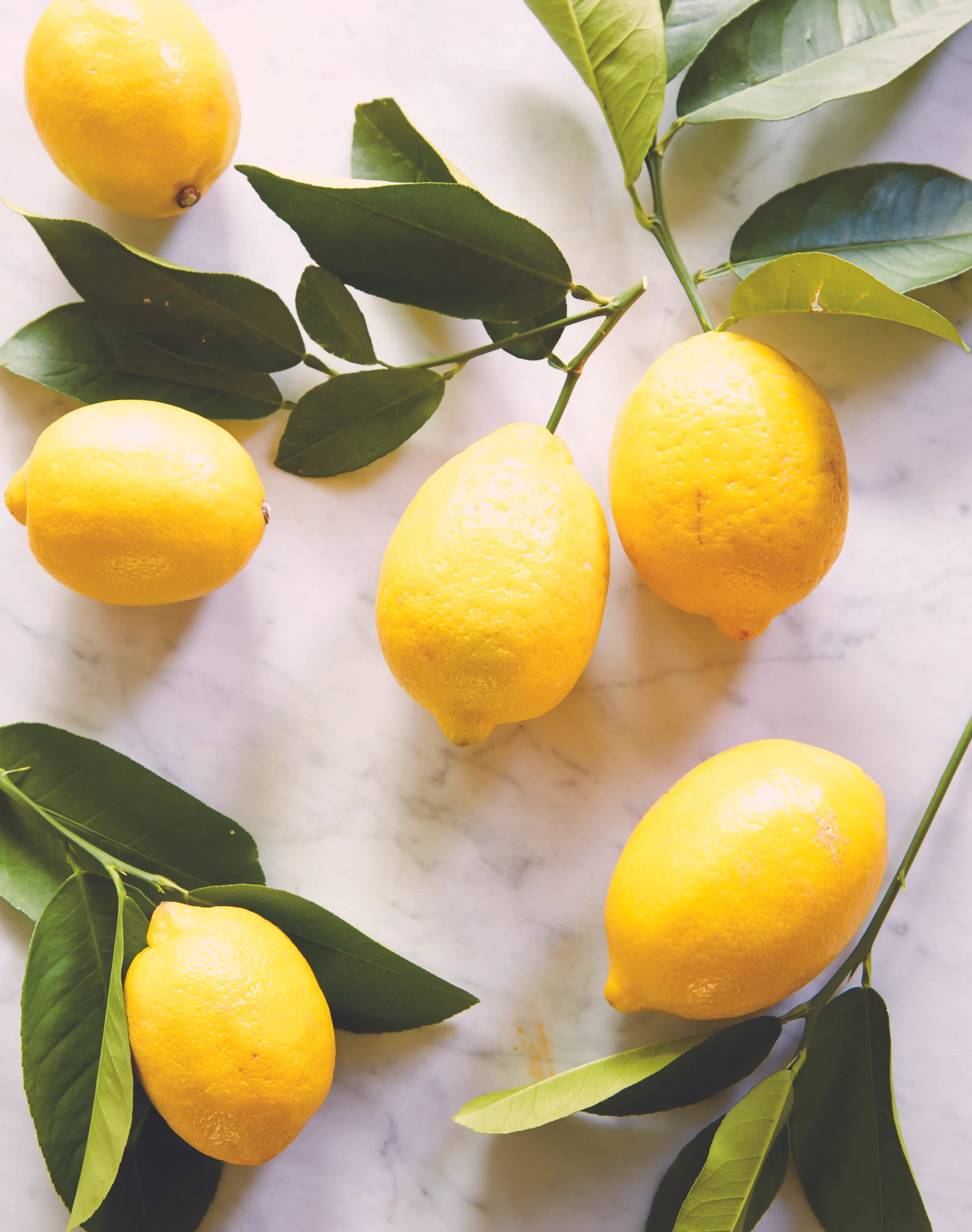MKA_CO_AfterADay_Lemons (1).jpg