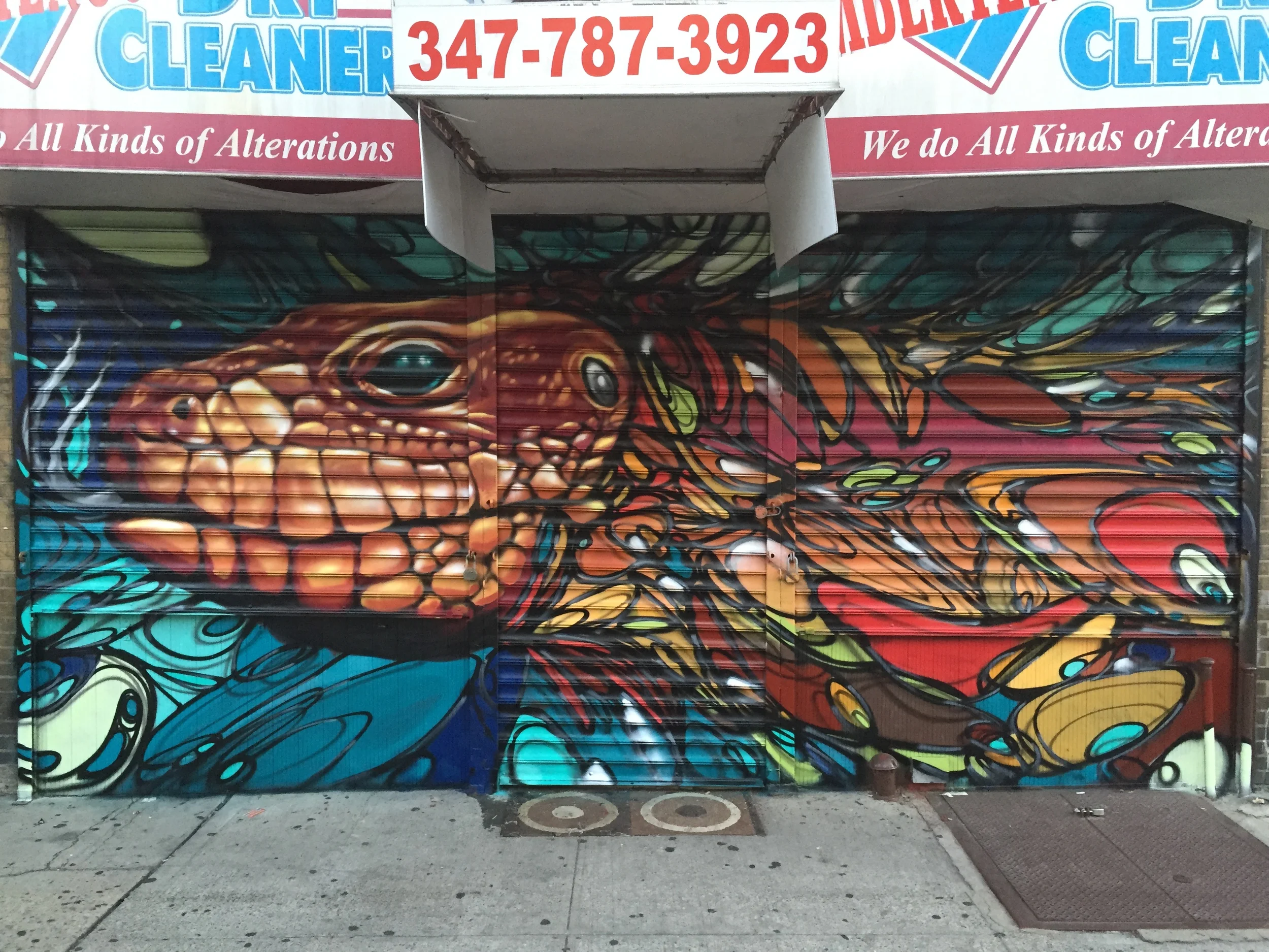 Brooklyn, NY 2015