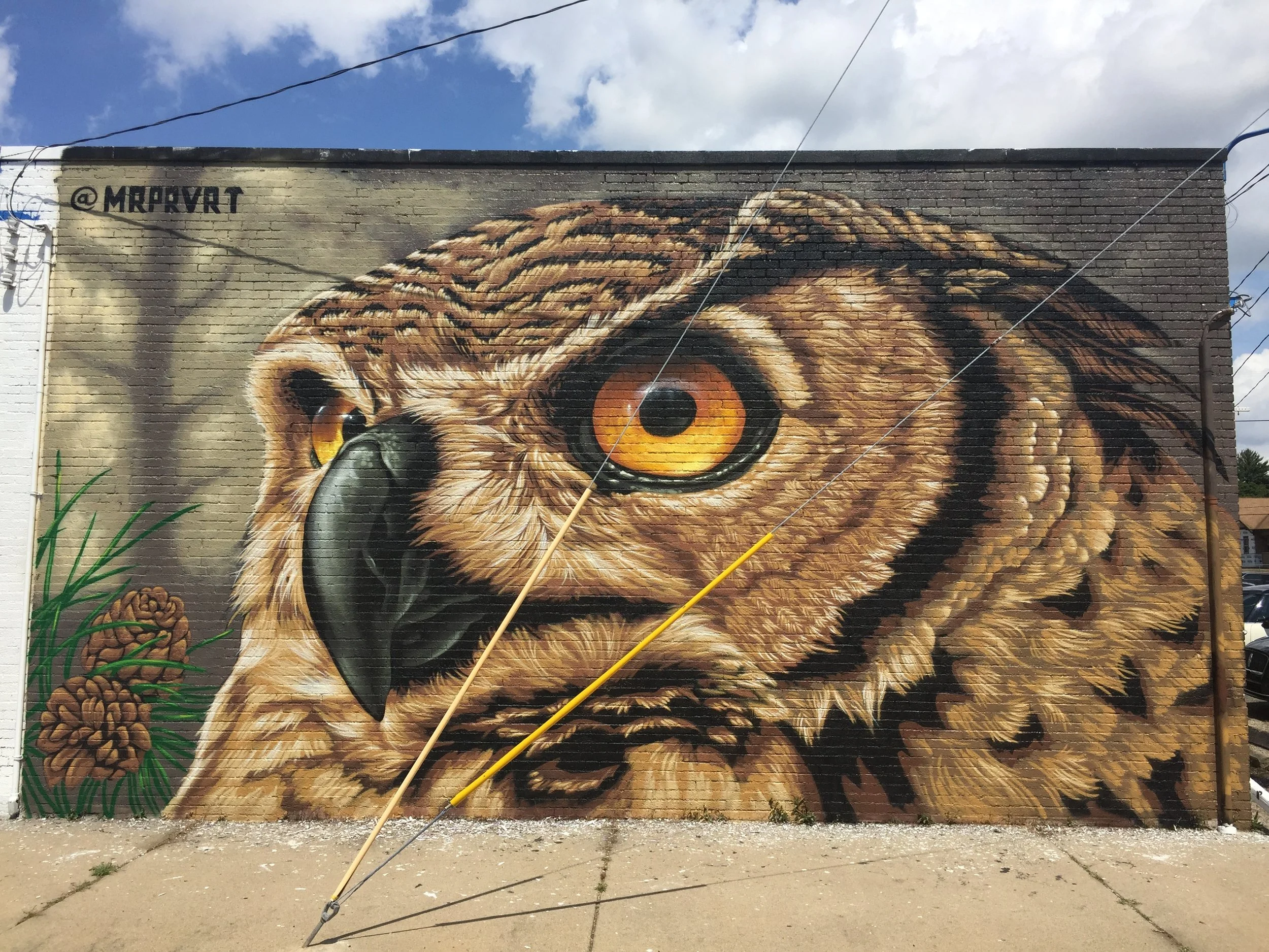 Watcher of the Creek