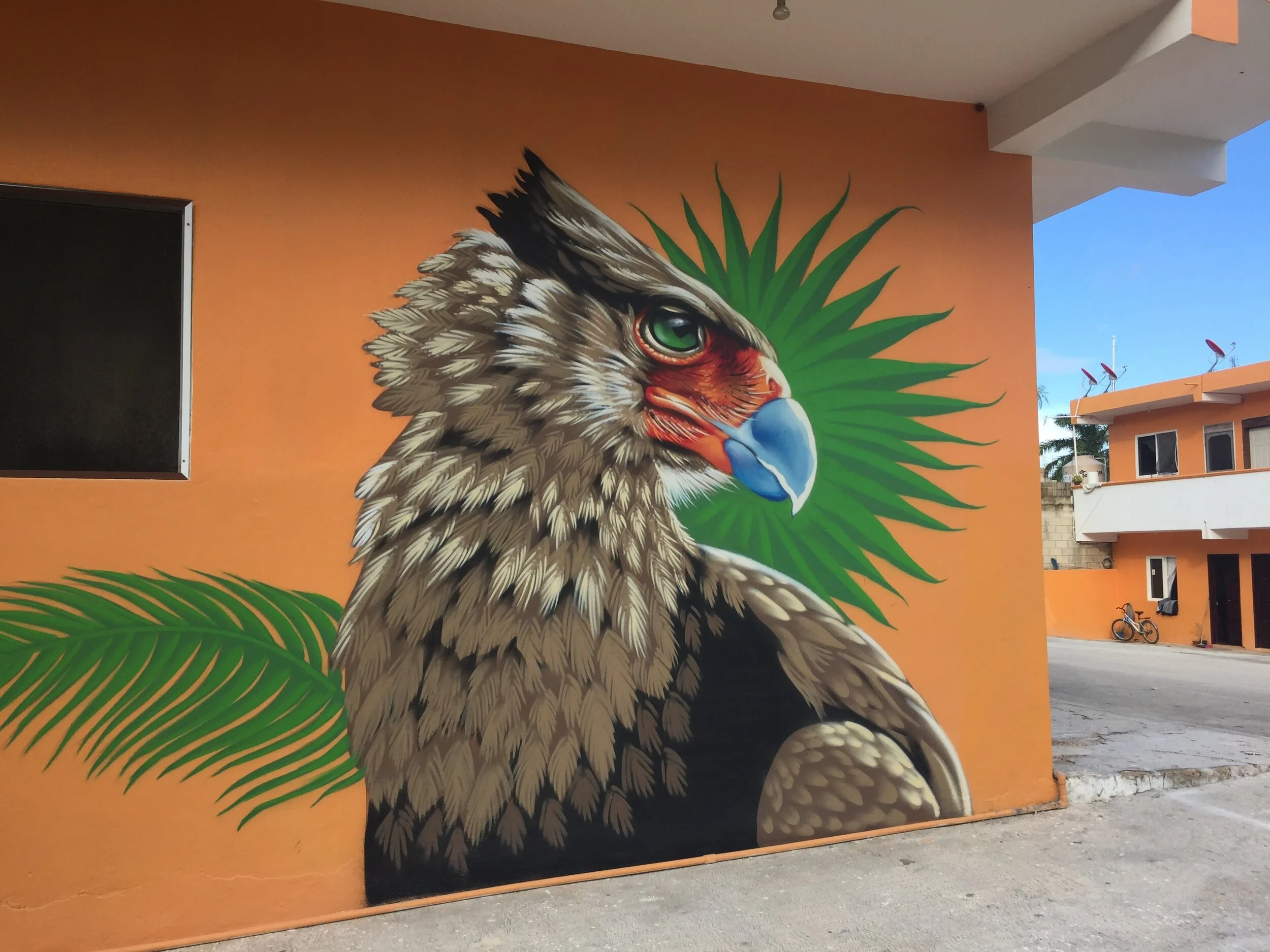 Crested Caracara