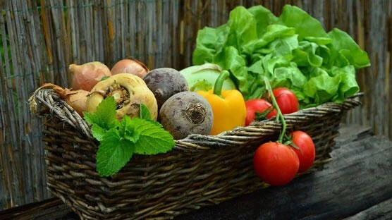 Productos frescos de la huerta&nbsp;