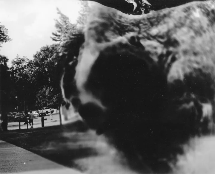 img037-2.jpg
