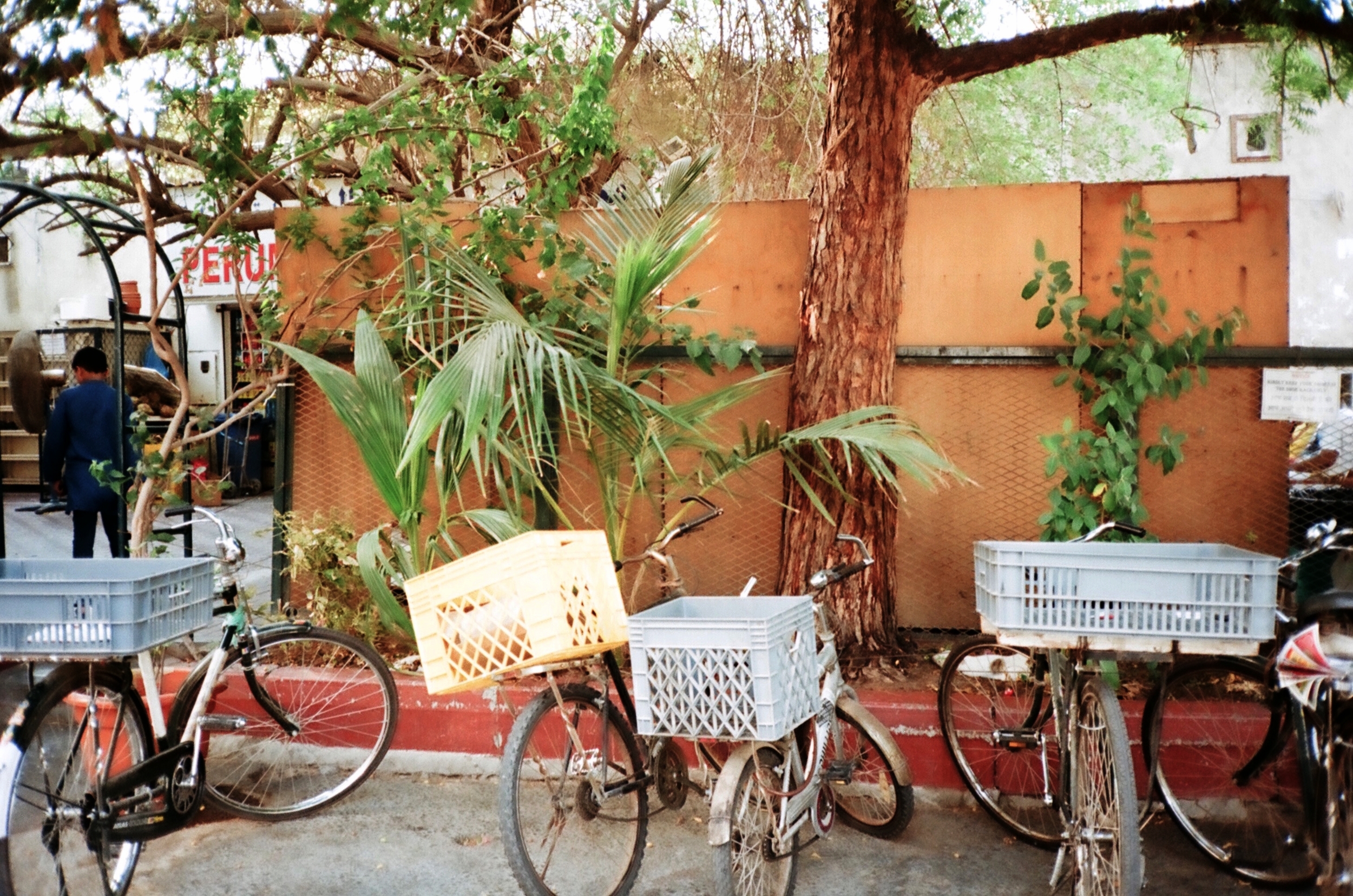 bikes' parking