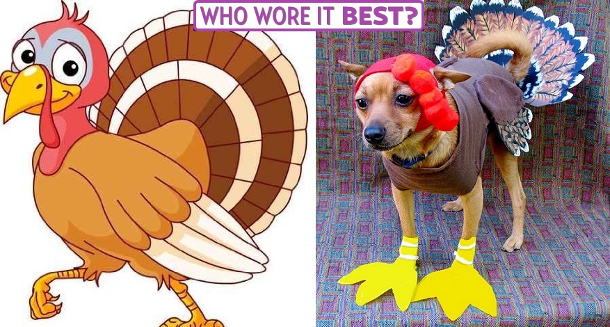 WhoWoreItBester.jpeg