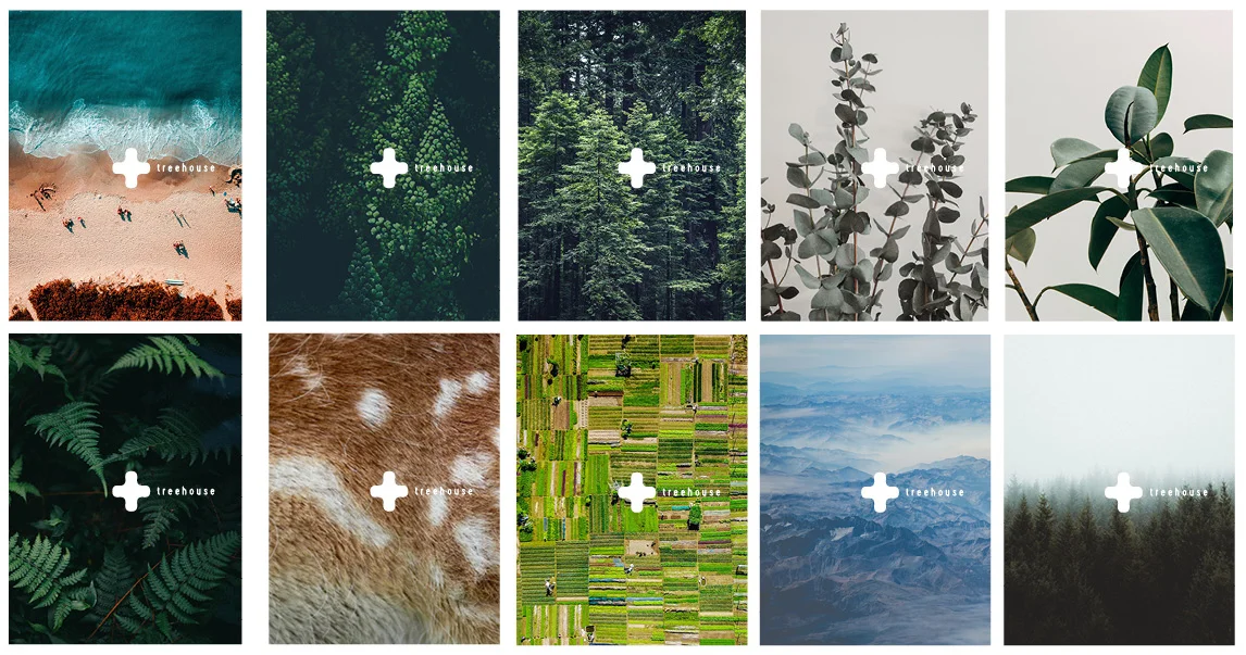 Treehouse_Postcards_An Diels.jpg