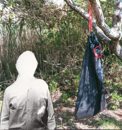 collage, 2011
