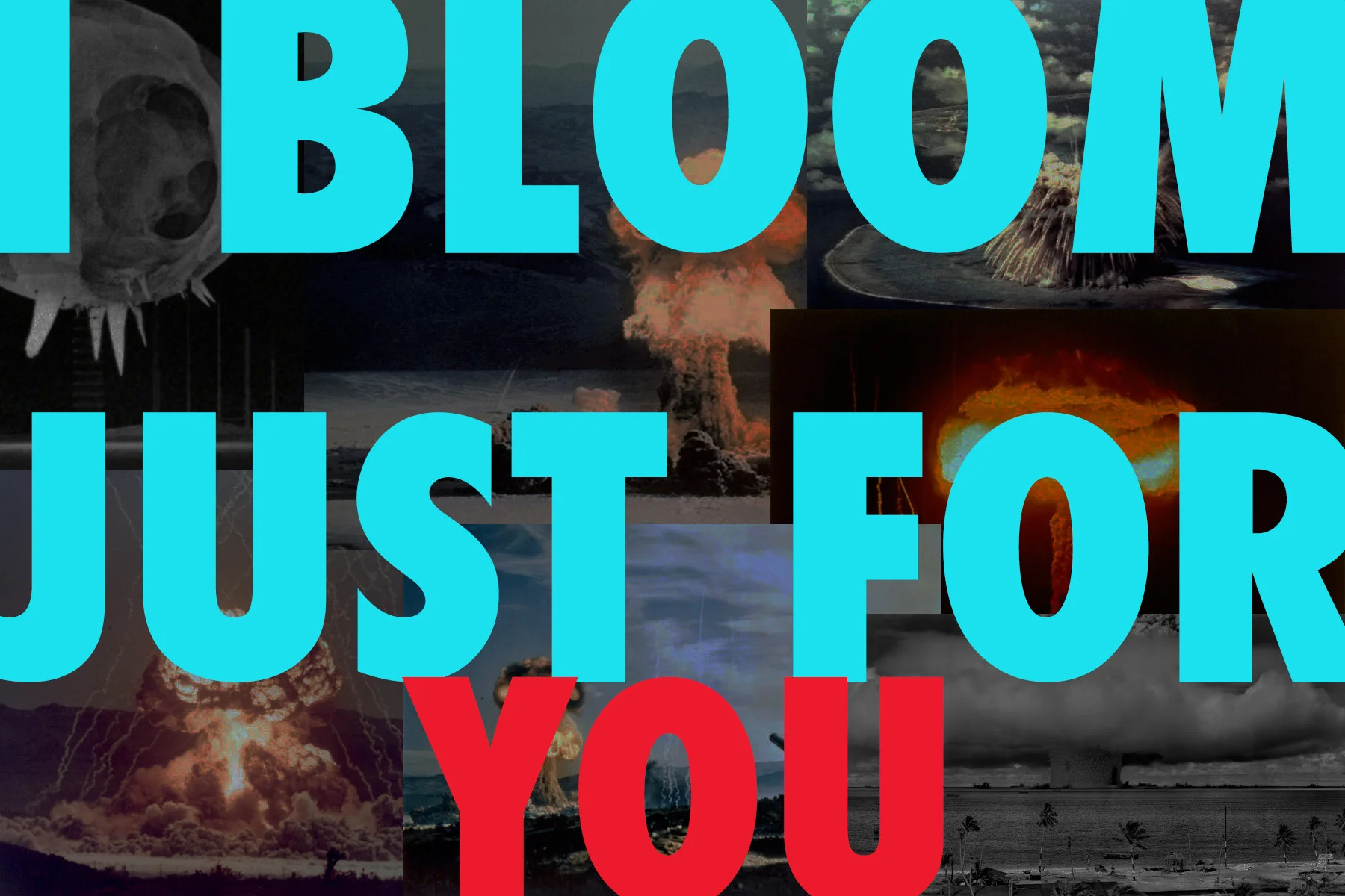 BLOOM, JUST FOR YOU, what is the environment? postcard series (2018-ongoing)