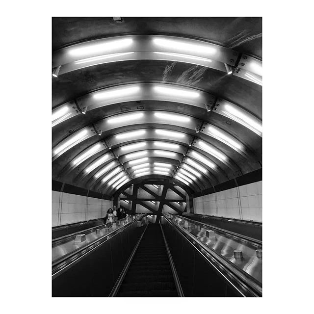 That morning had been a blur. He barely remembered getting on the train. The whole week, in fact, had felt like a fever or one of those summer colds. But here he was, climbing out of a dirty subway tunnel surrounded by steel and fluorescent lights. H