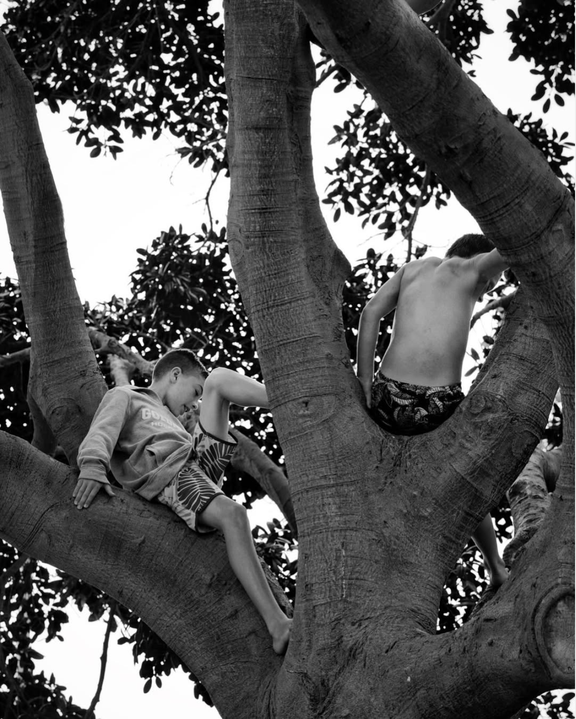 Screenshot 2025-02-28 at 4.36.56 PM.png