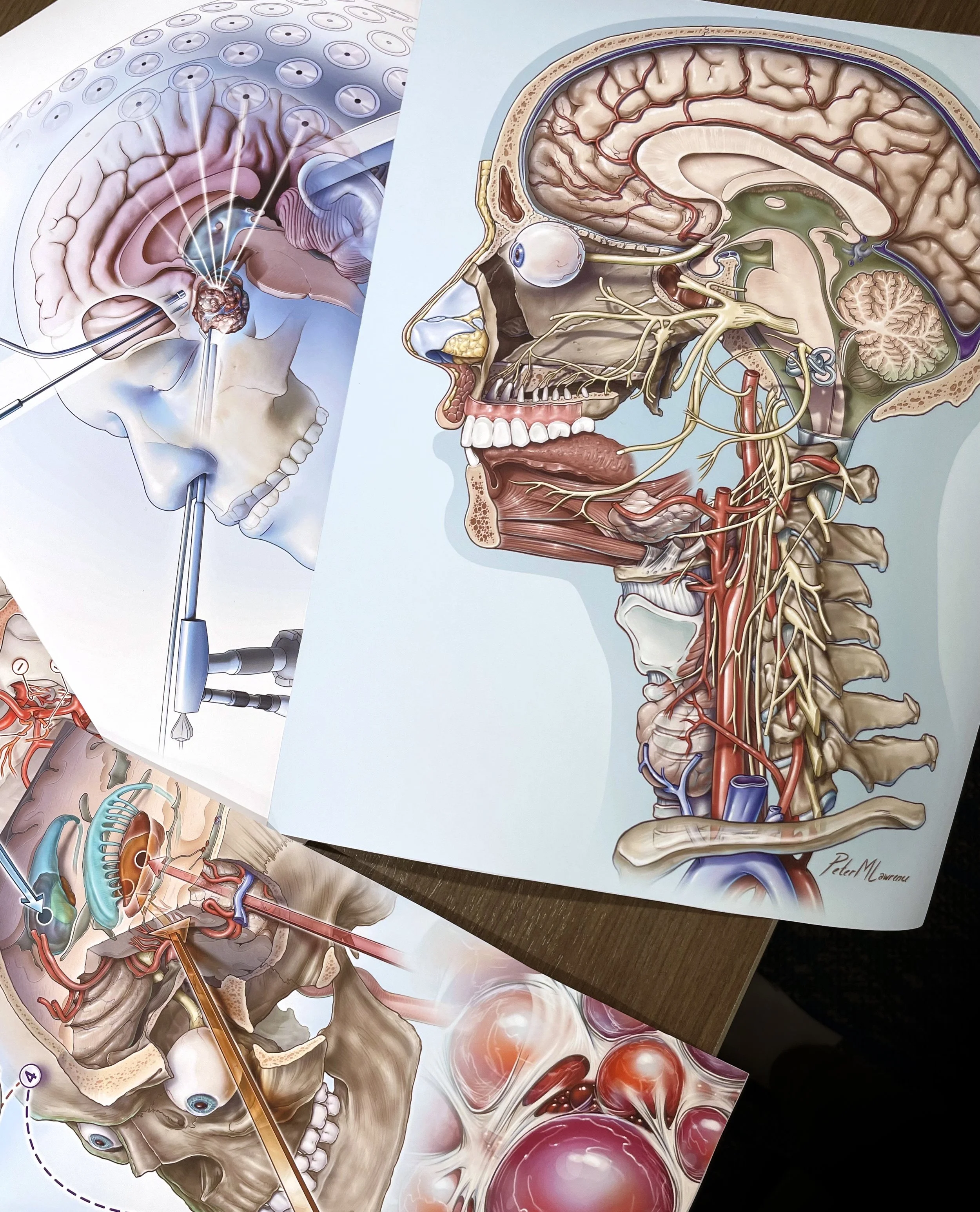 posters together.jpg