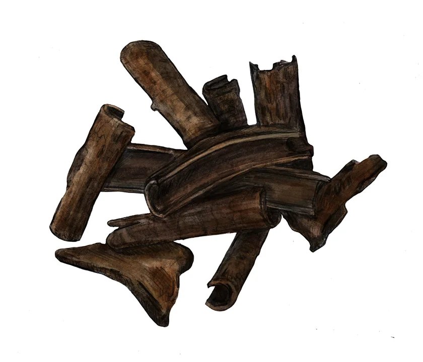 CUTCH BARK small.jpg