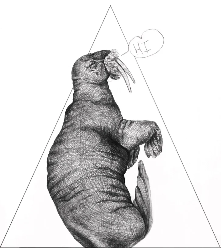 36_the-walrus3.jpg