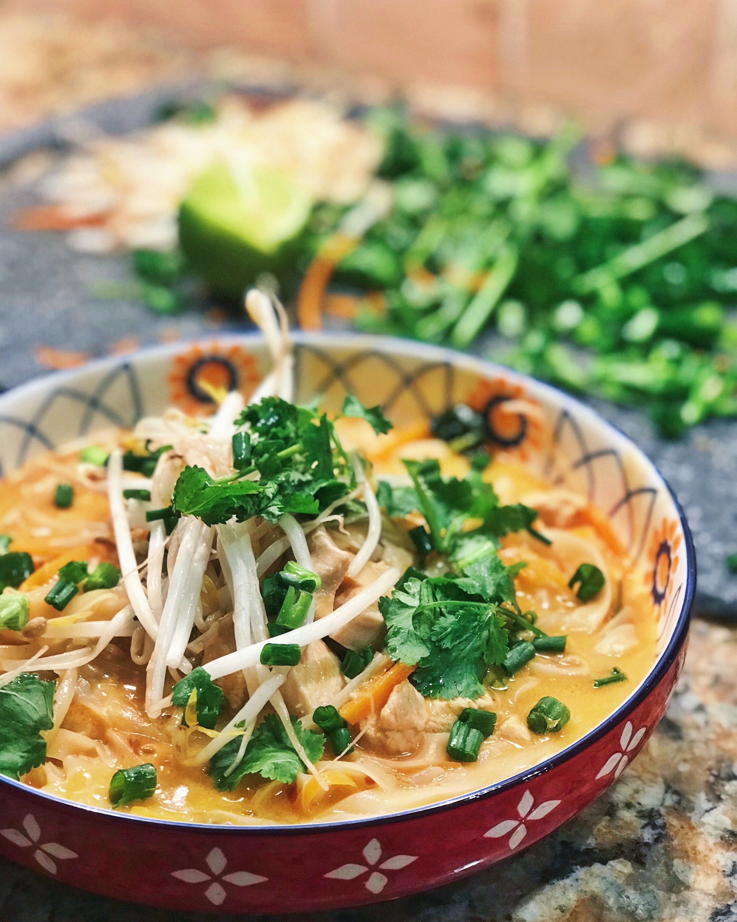 Thai Coconut Curry Chicken Soup (30 Minute Recipe) — The Pretty Feed