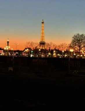 Parisian Delights: A Curated Journey Through  the City of Light