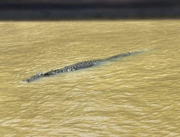 Screenshot_12.jpg