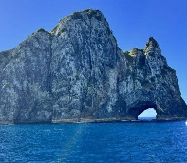 Screenshot_19.jpg